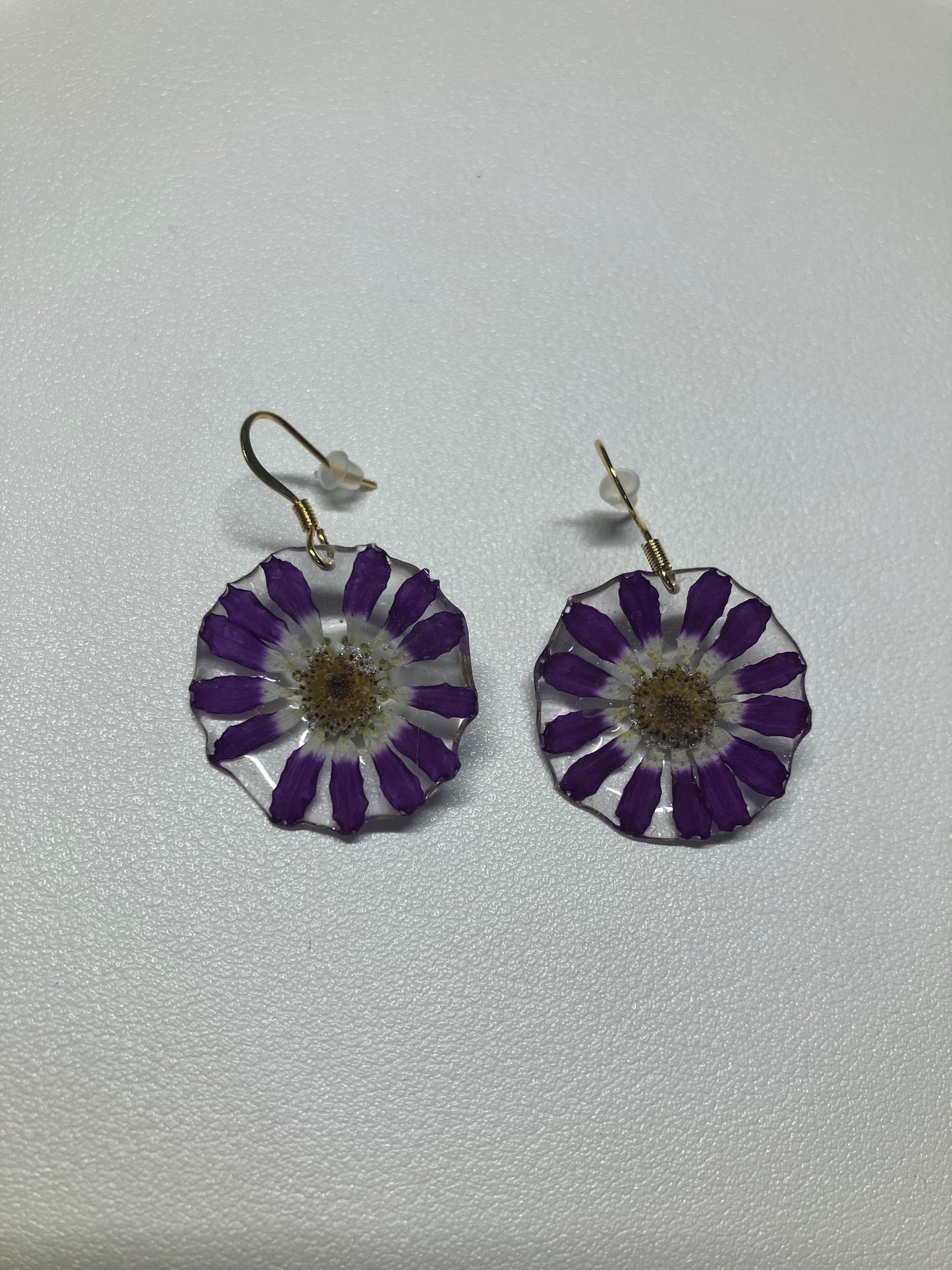 Margaritas moradas