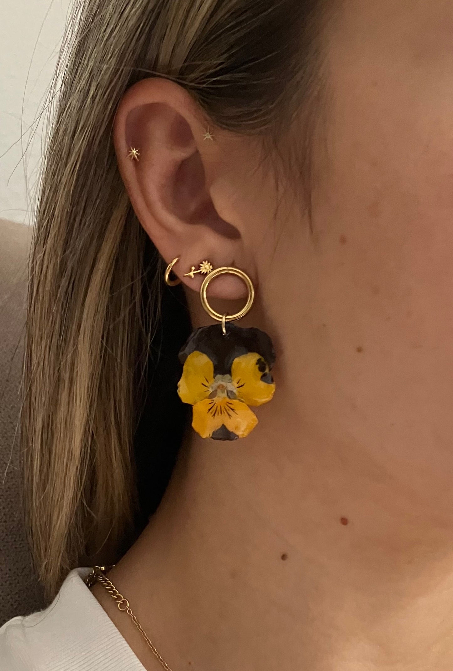 *Flores*.   Pensamientos amarillo y marrón