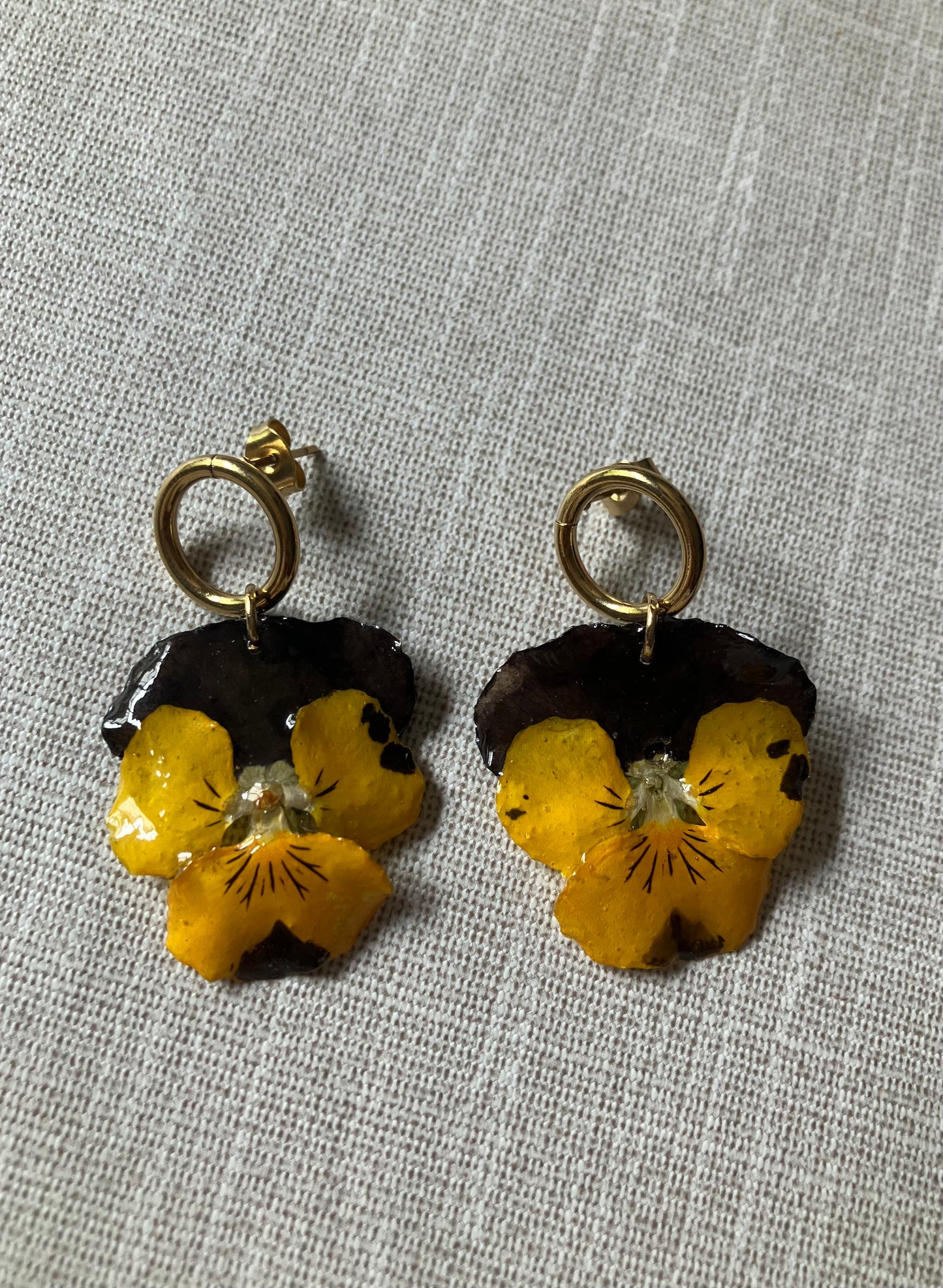 *Flores*.   Pensamientos amarillo y marrón