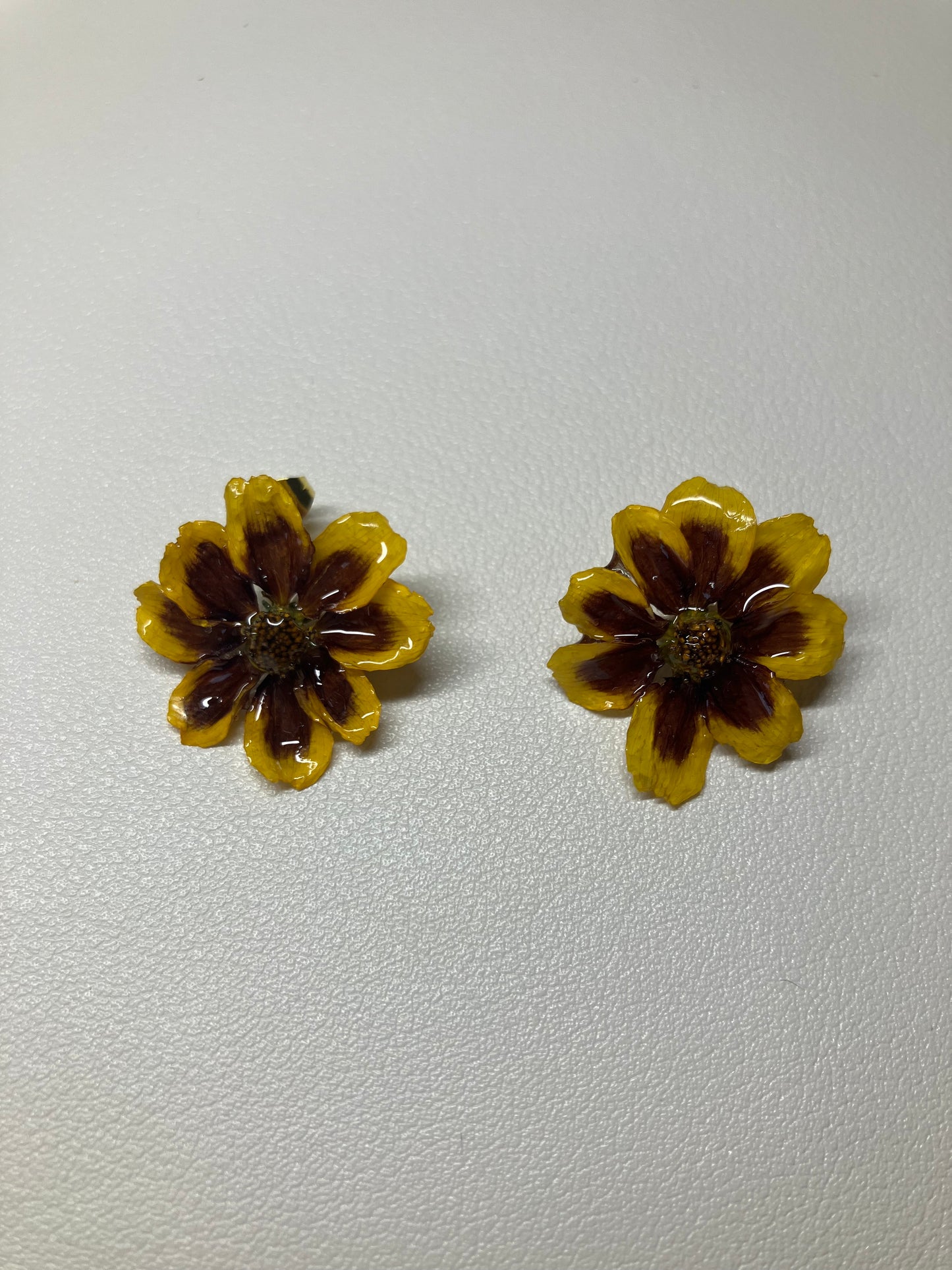 Coreopsis amarilla y roja