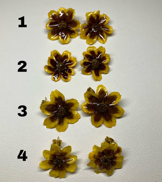 Coreopsis amarilla y roja