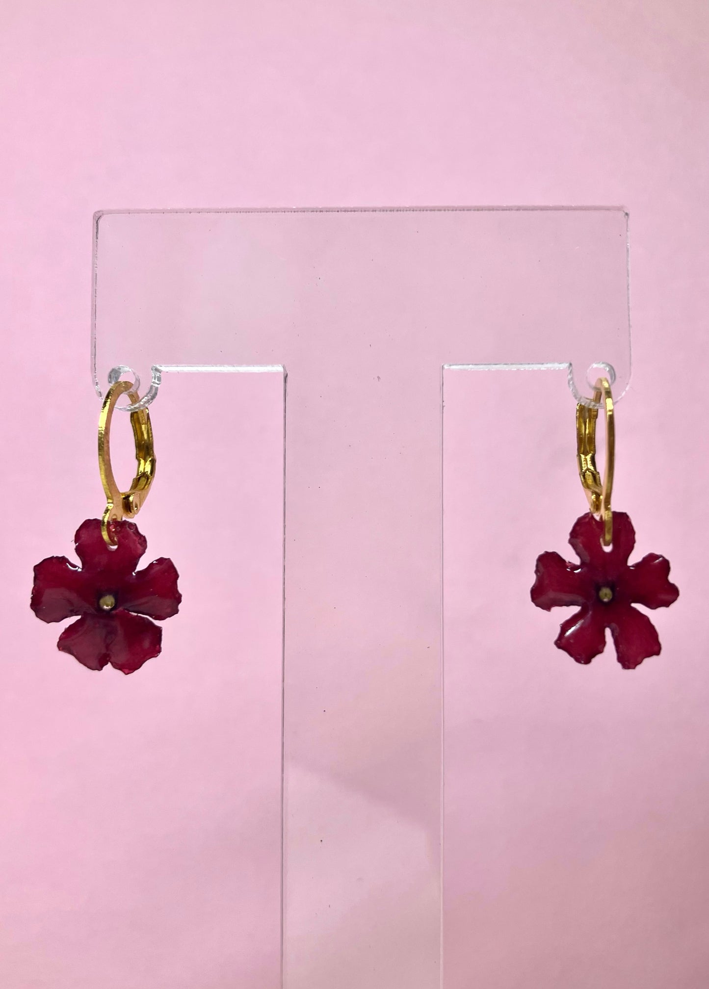 Verbena roja