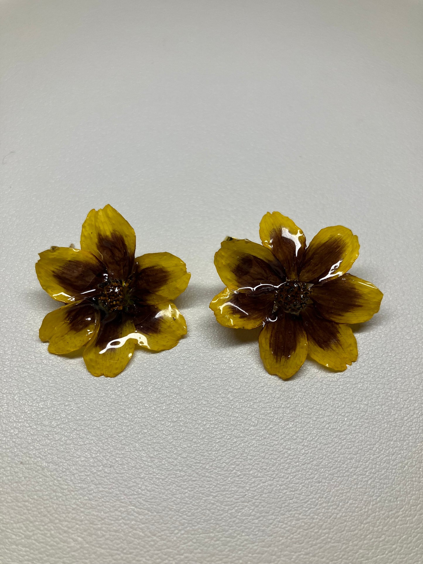 Coreopsis amarilla y roja