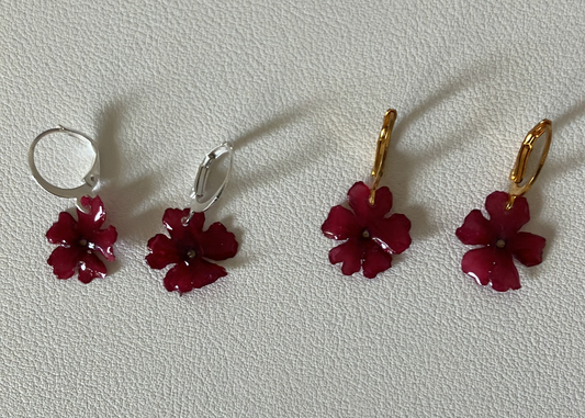 Verbena roja