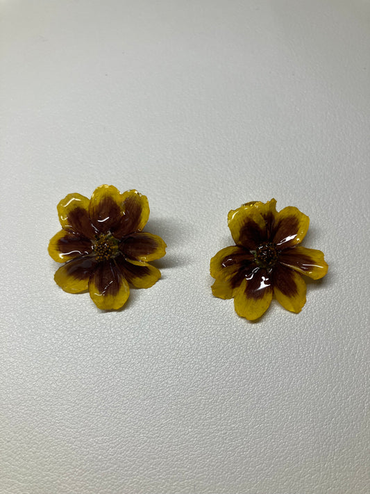 Coreopsis amarilla y roja