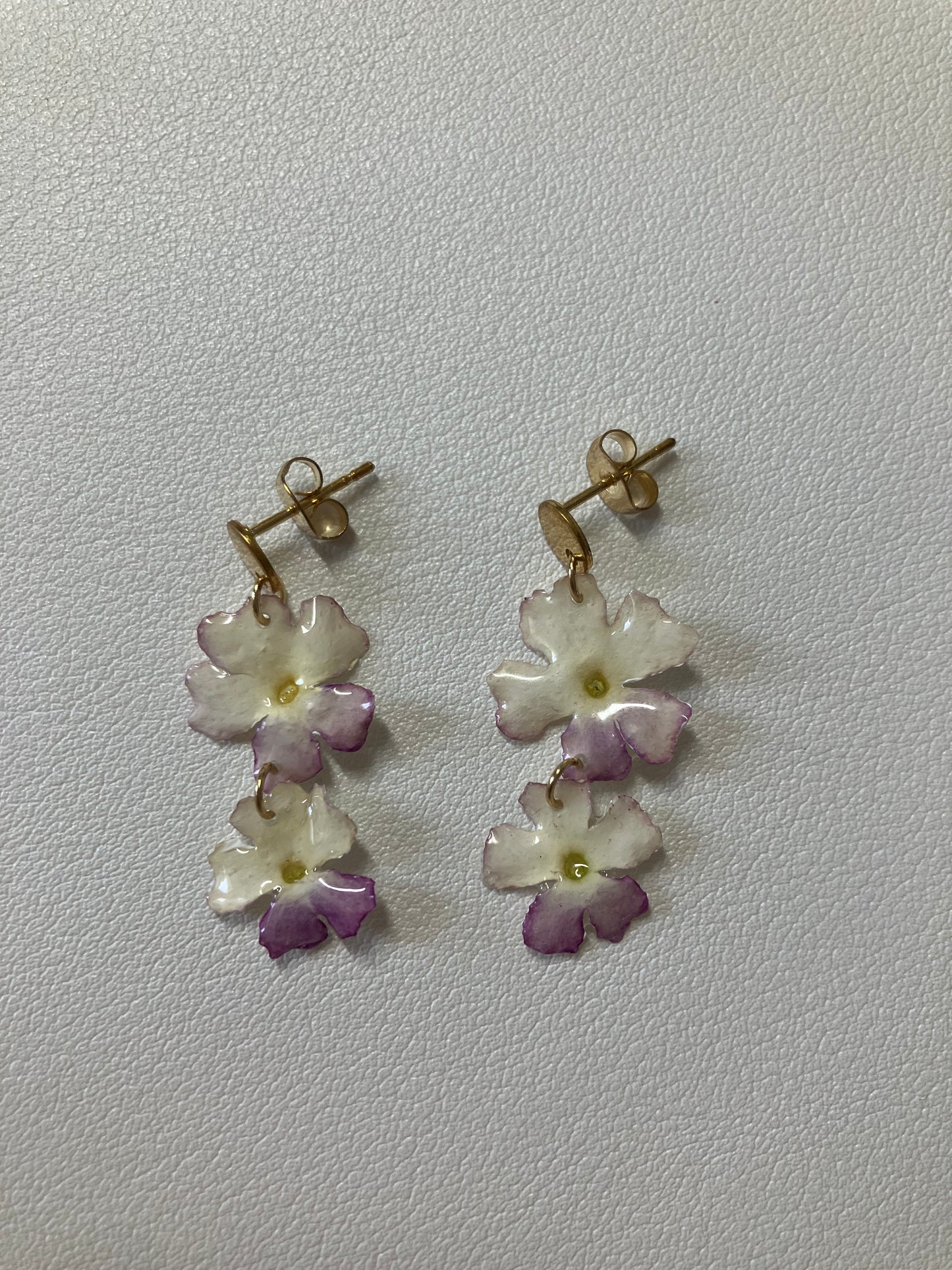 Verbena rosa y blanca