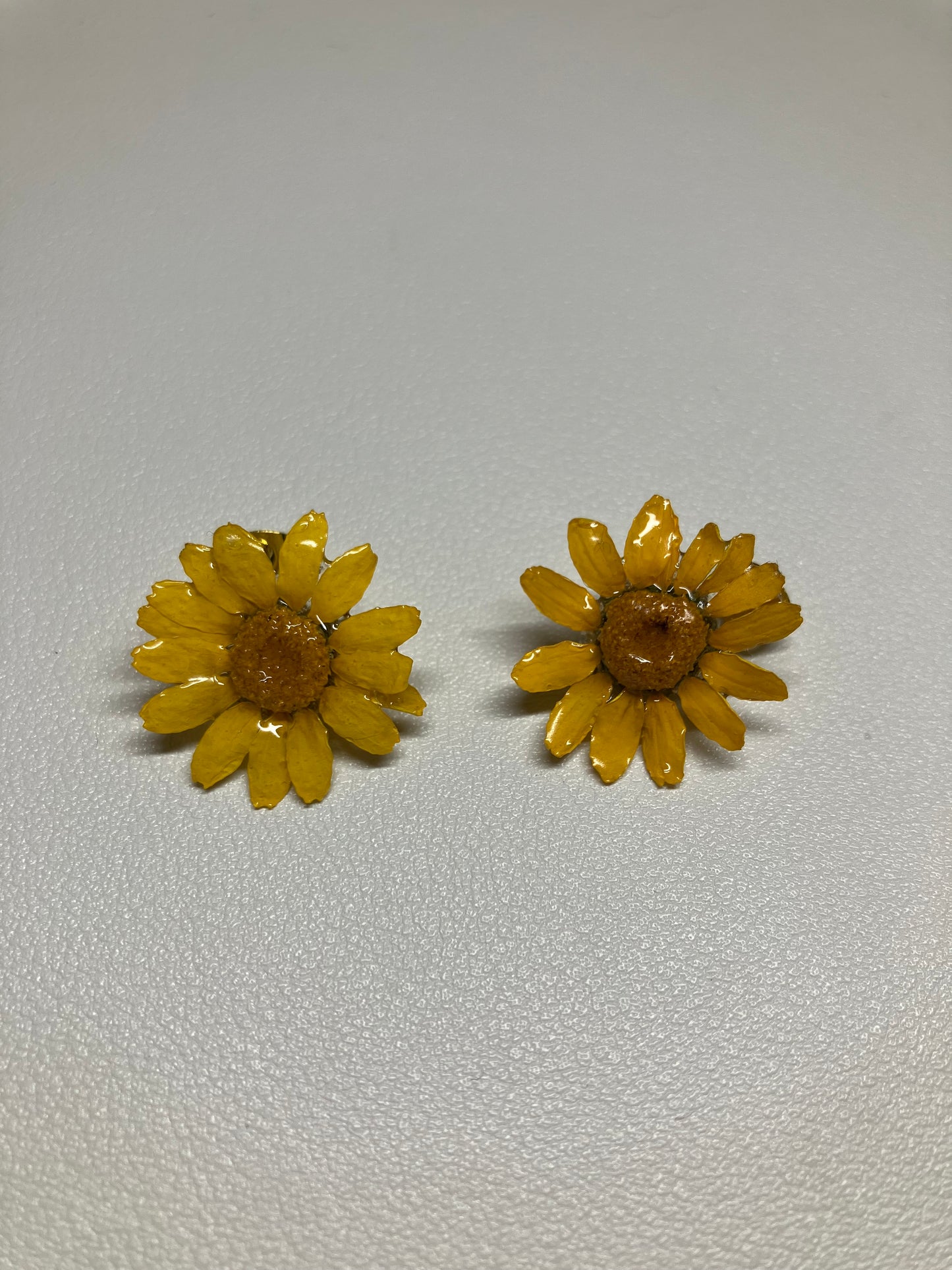 Margarita amarilla lóbulo