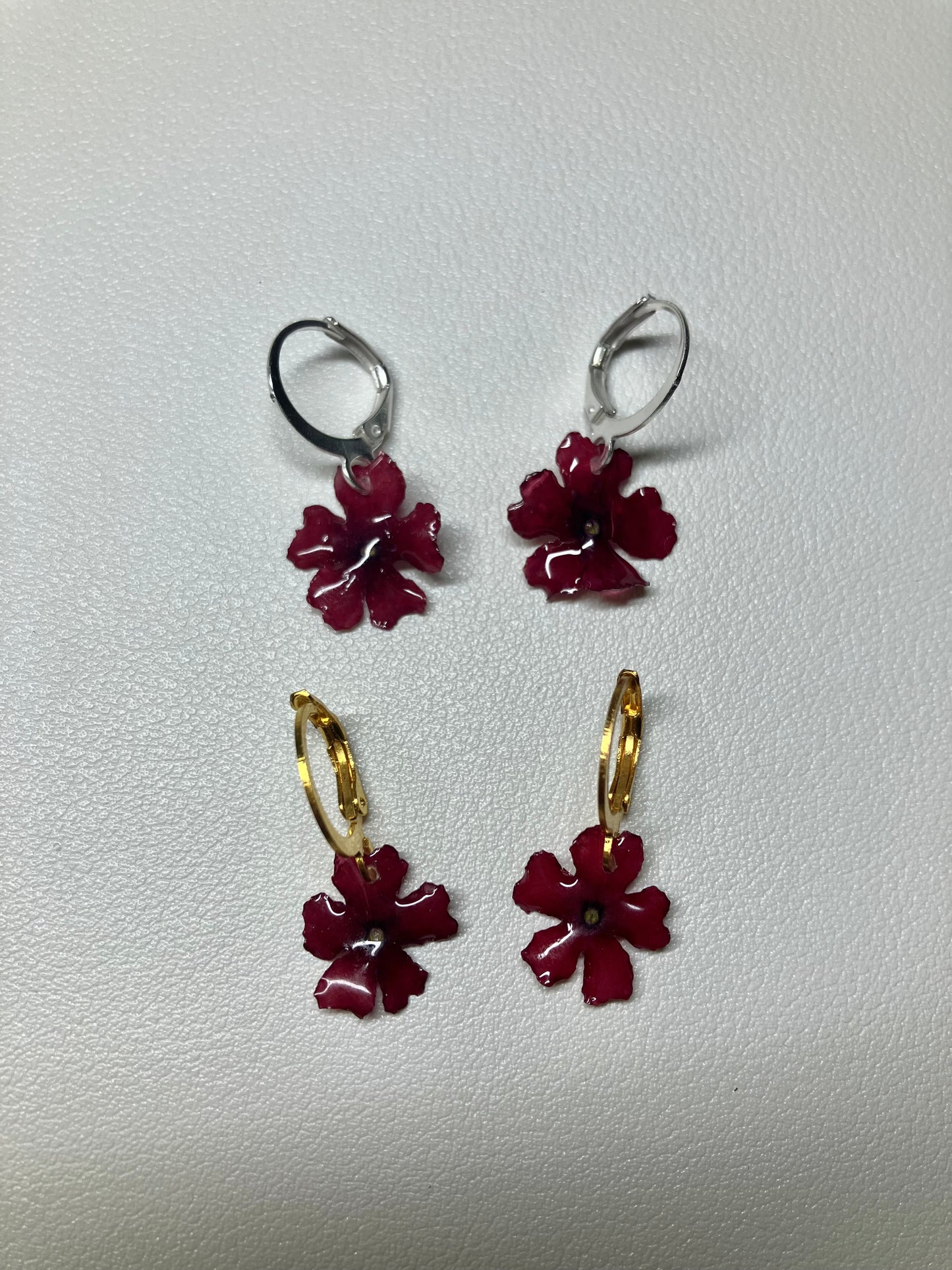 Verbena roja