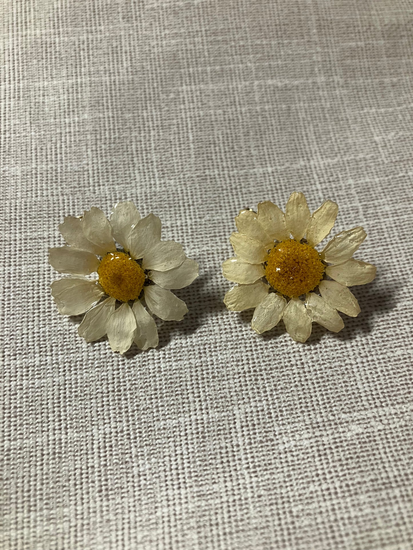 *Flores*.  Margaritas