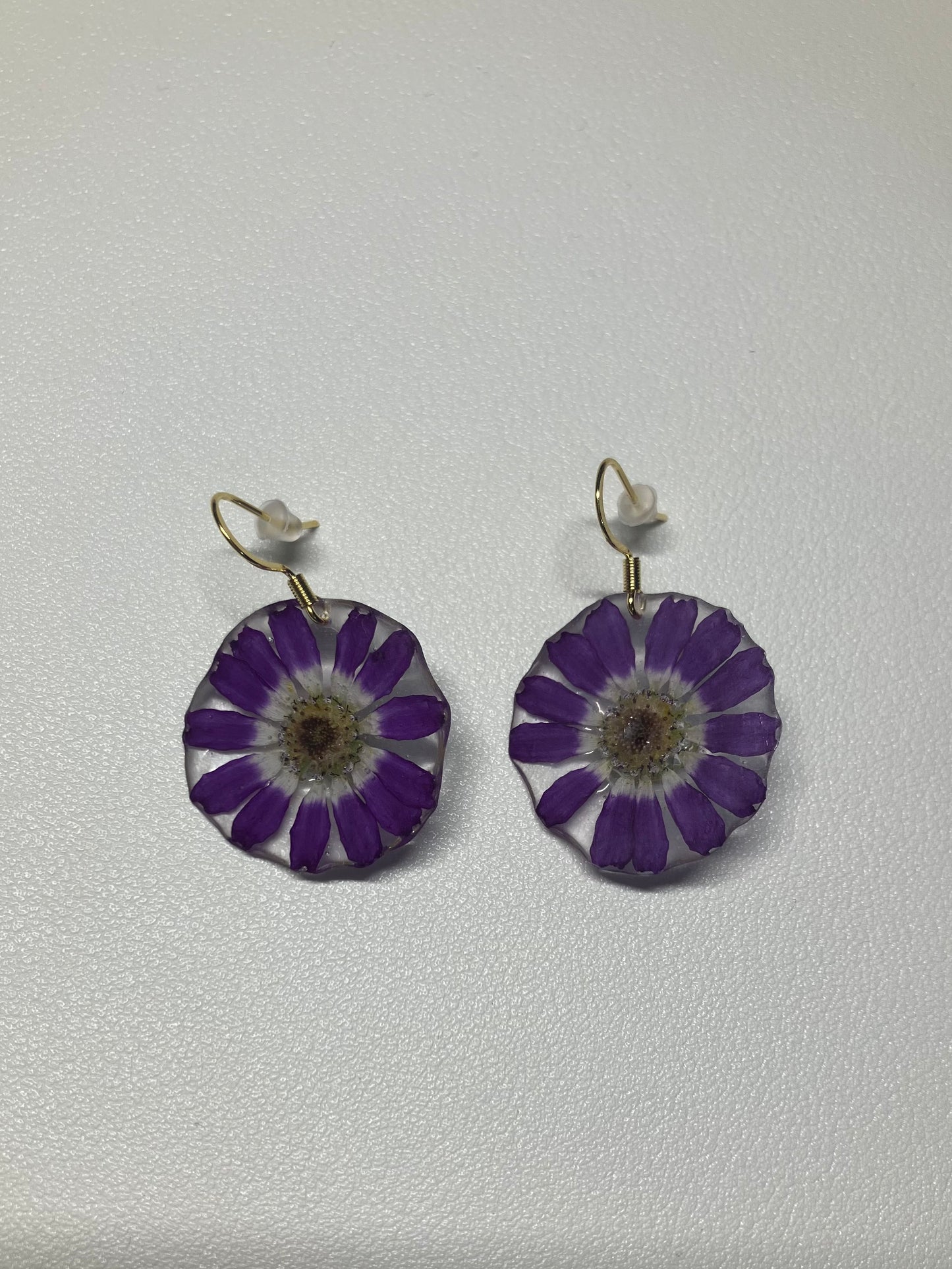 Margaritas moradas