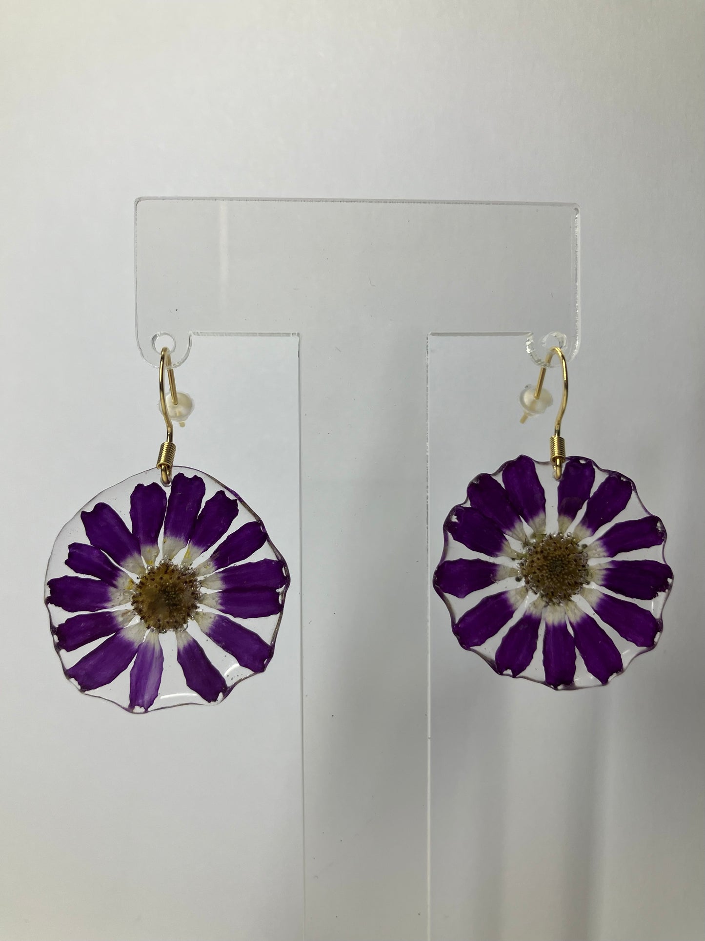 Margaritas moradas
