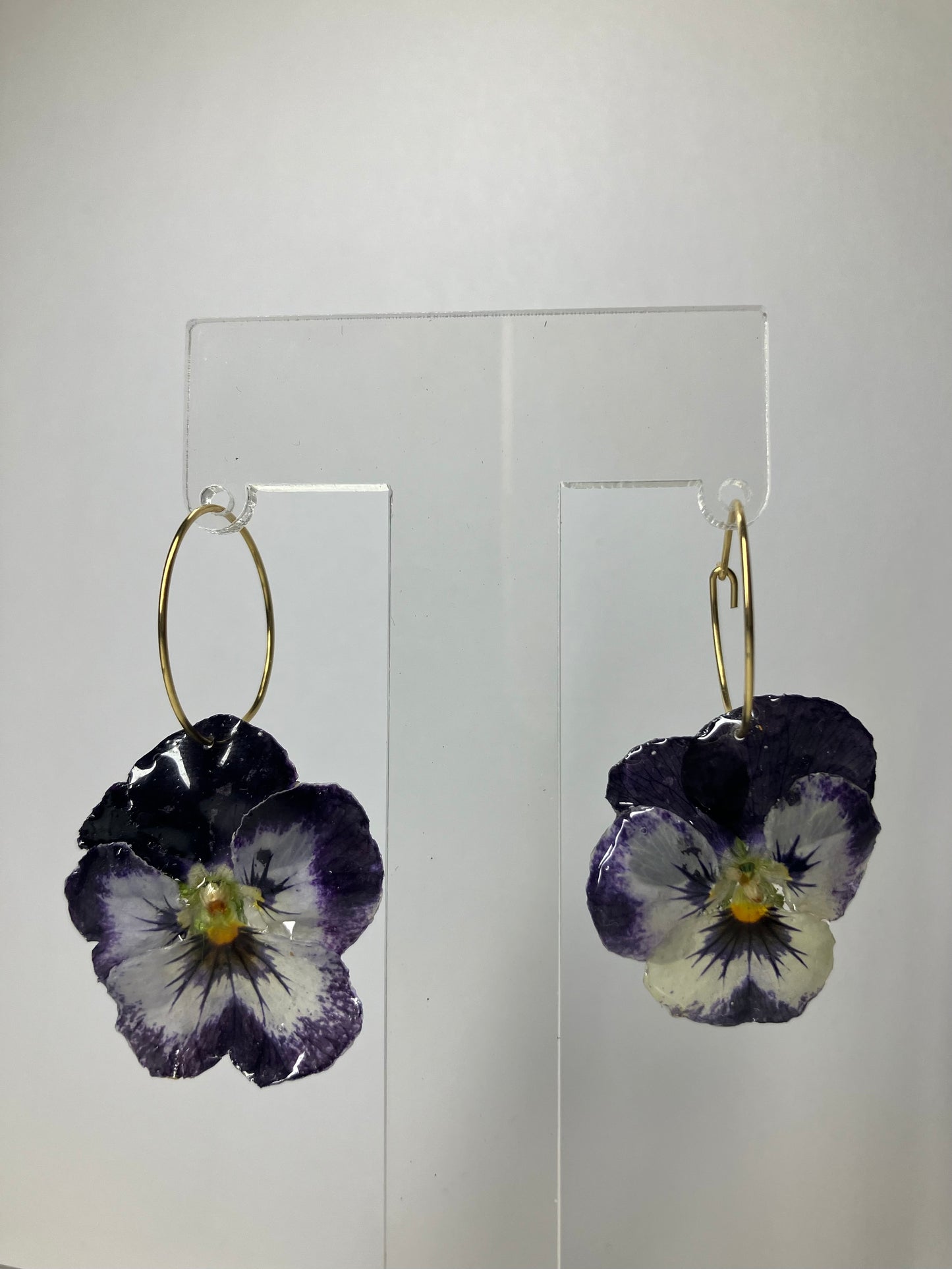*Flores*.  Pensamientos morado y blanco
