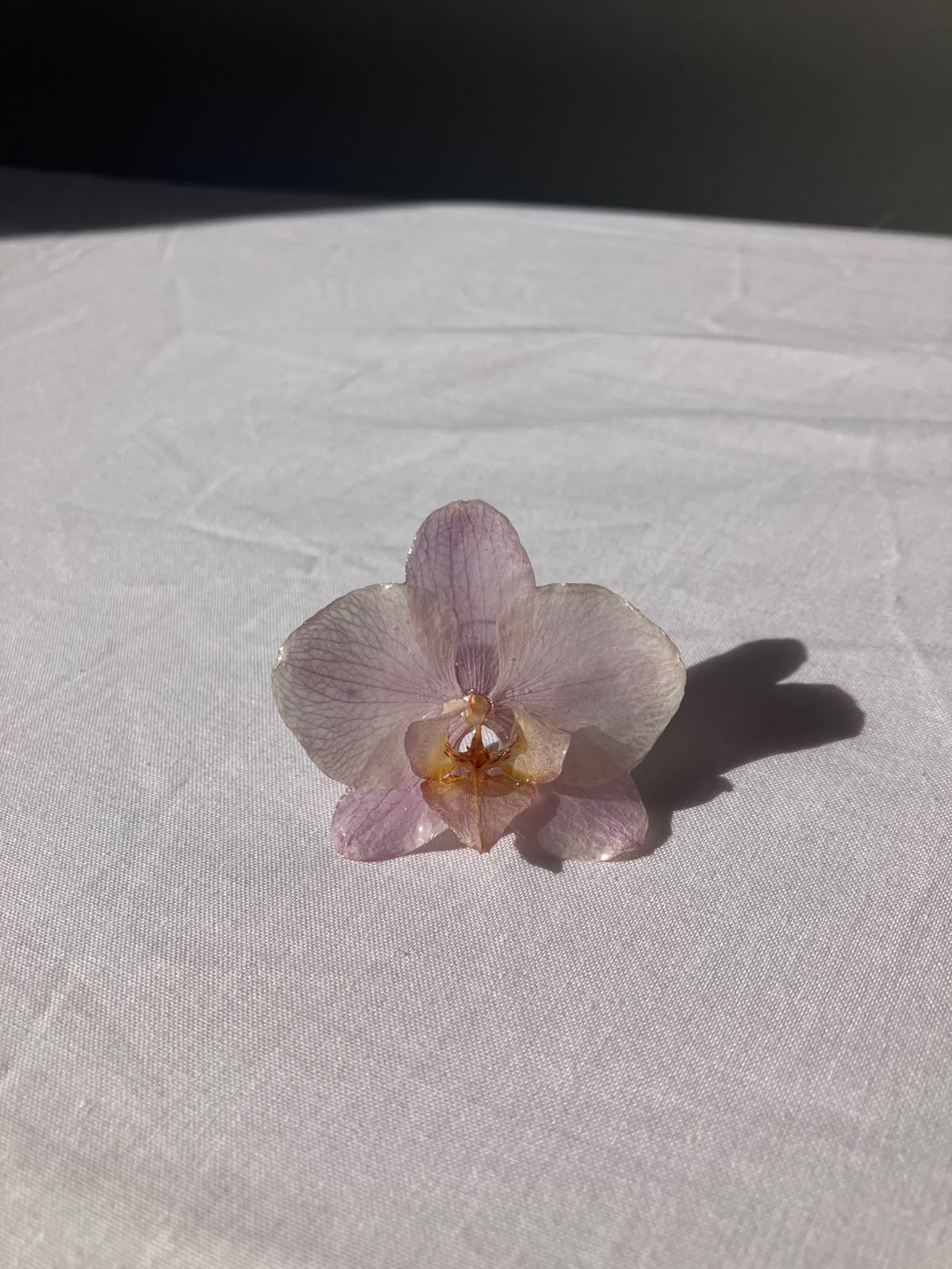 ¨Colección OKIDI¨ Anillo orquídea color lila