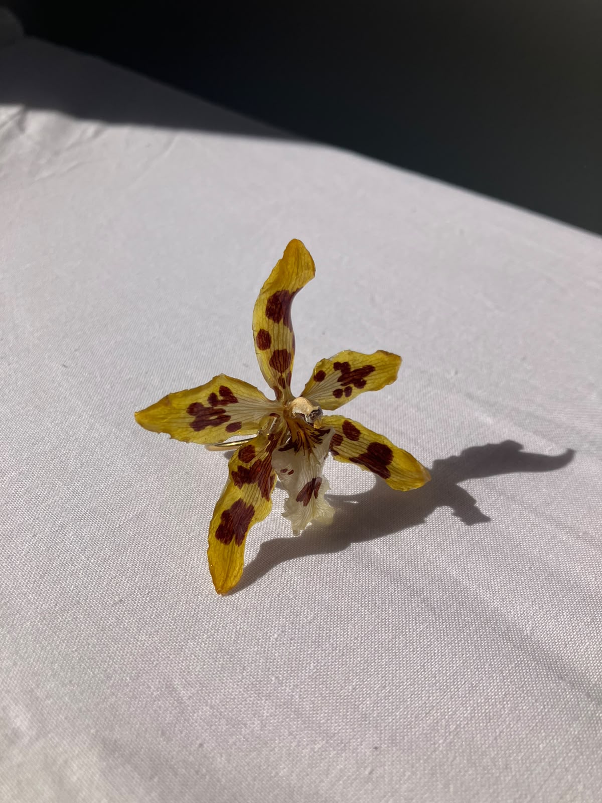 ¨Colección OKIDI¨ Anillo orquídea color amarillo y marrón